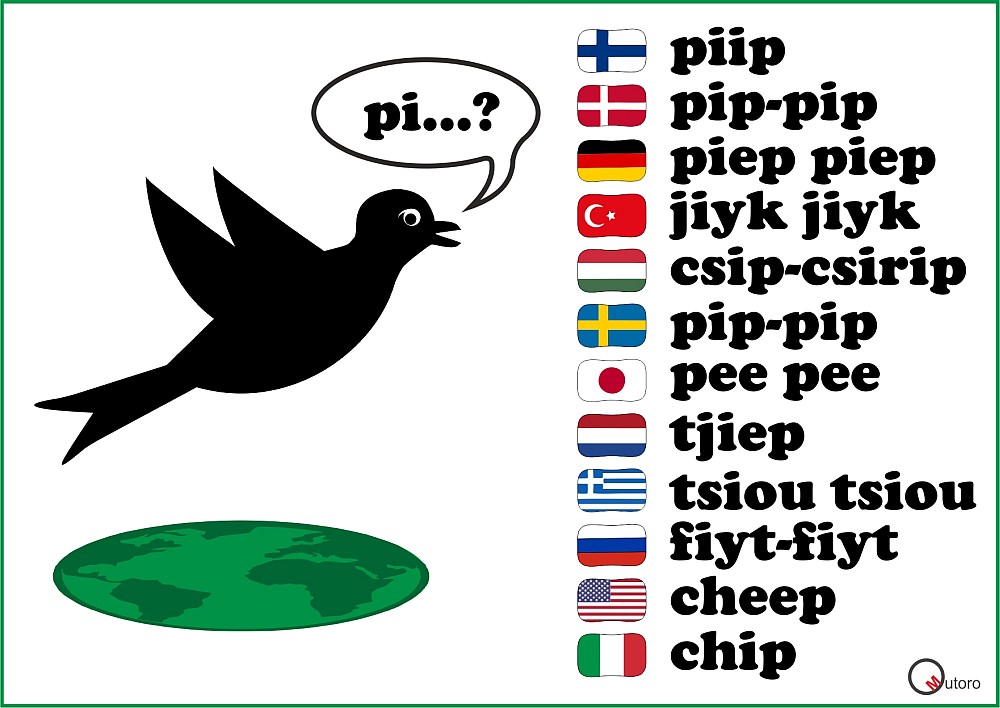 international bird sounds